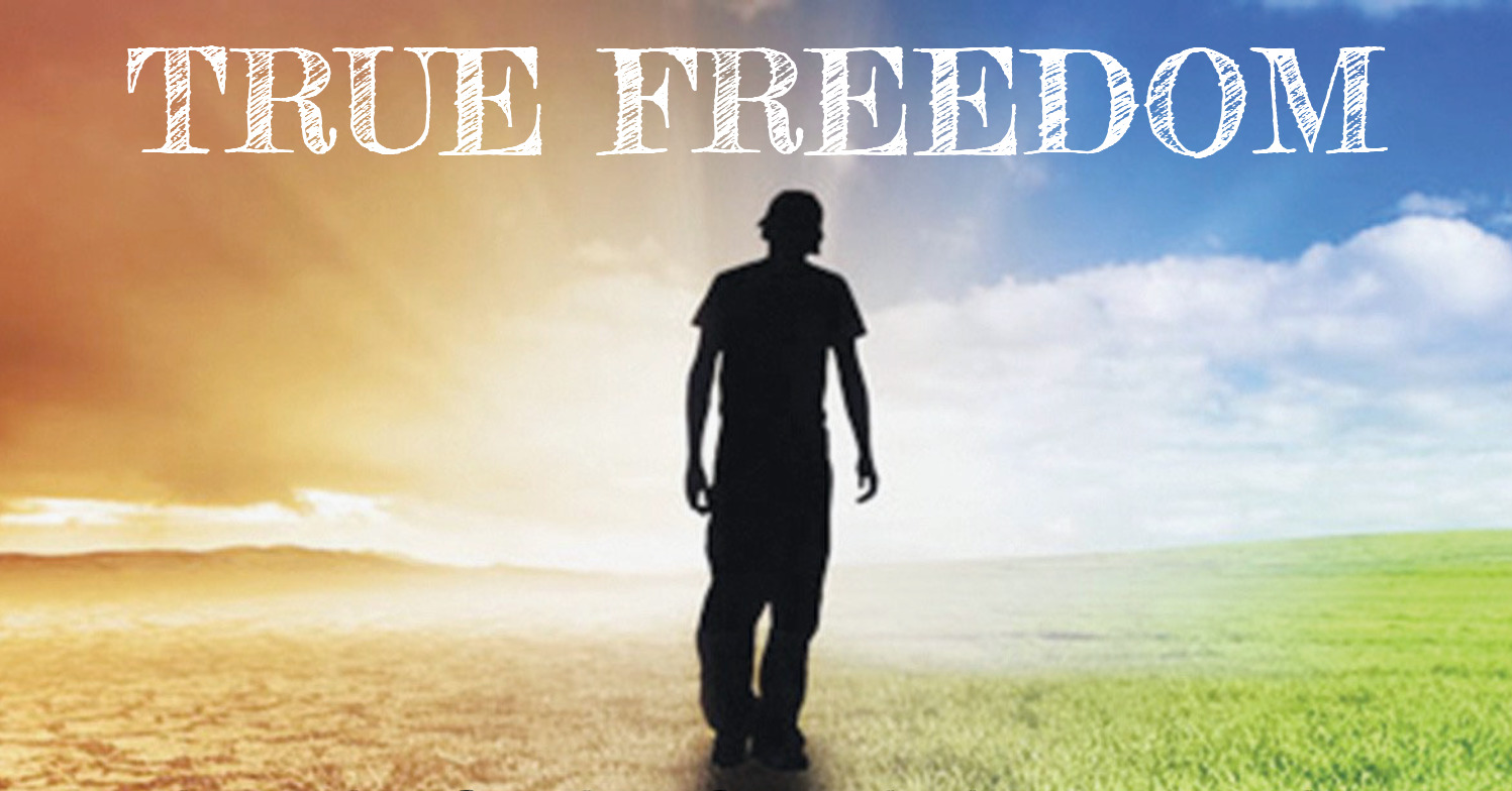 Is Fry99Com The Key To True Freedom? Find Out Now! - qc0cshs